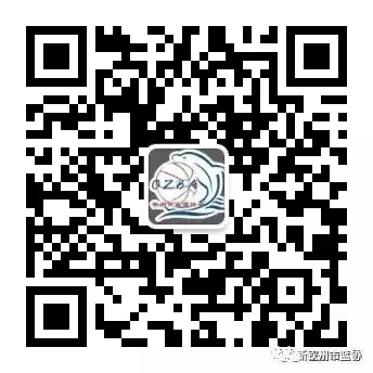 如何制定智能篮球训练计划_1